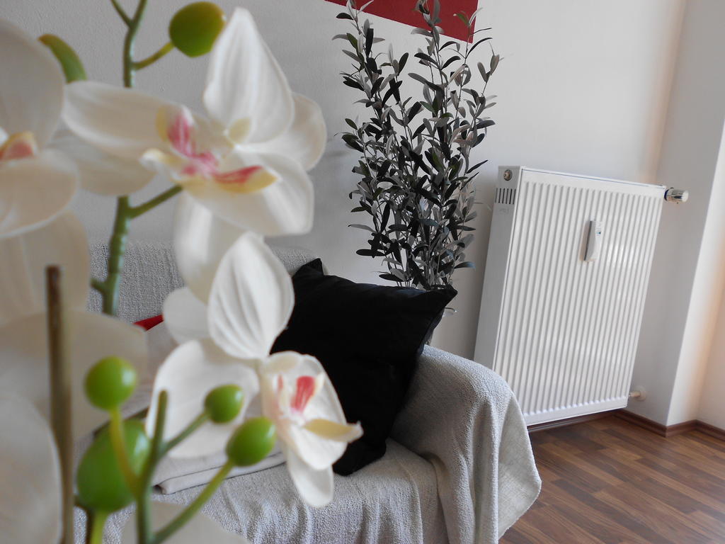 Apartment Beethoven Ratisbona Habitación foto